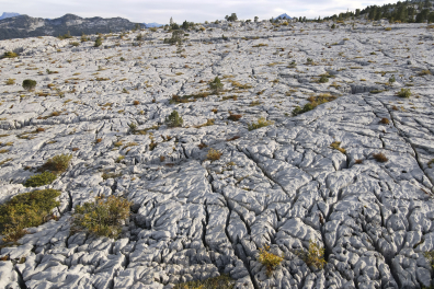 Lapiaz - Parmelan (Haute Savoie, France)